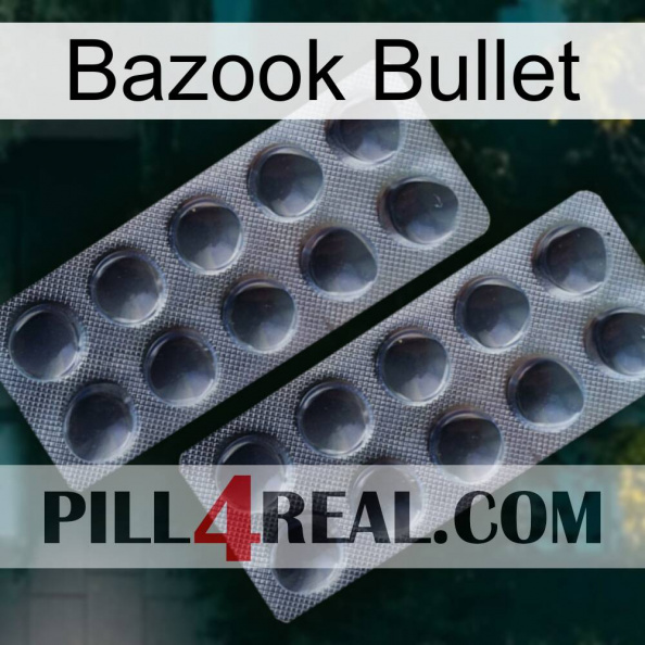 Bazook Bullet 31.jpg